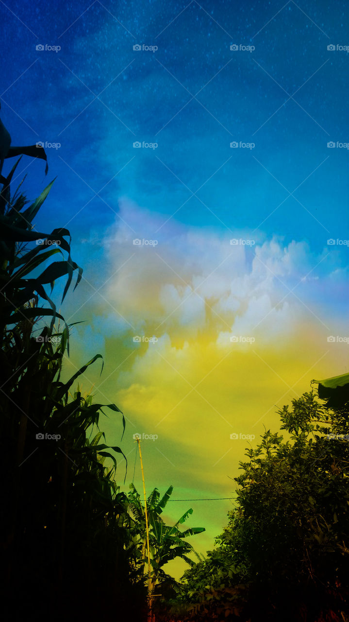 art photography design