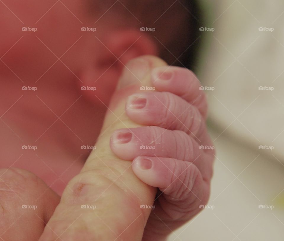 Baby Fingers 