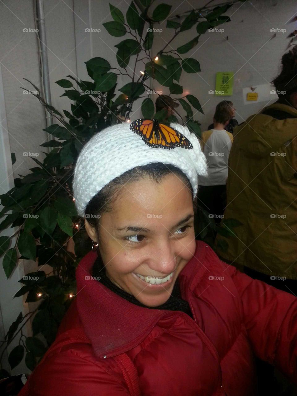 butterfly on Head