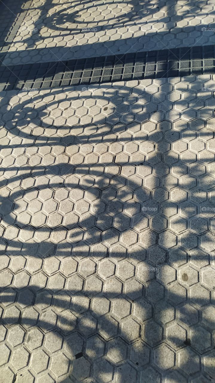 barandillade la concha