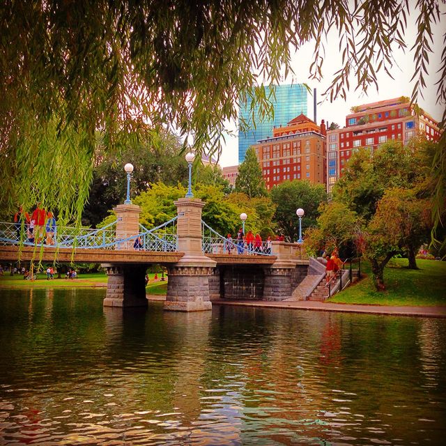 Boston Public Gardens. Peaceful Boston Public Gardens