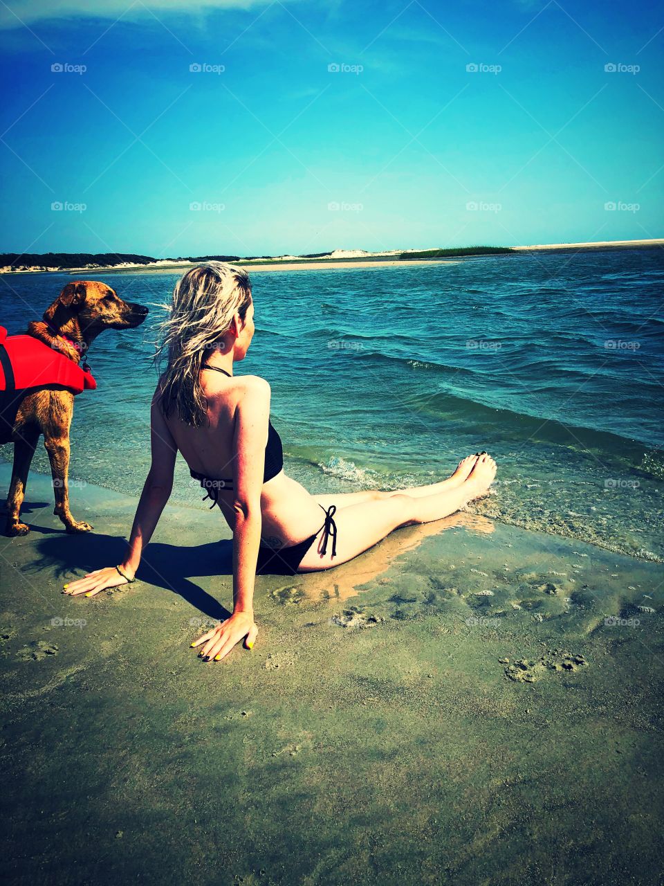 Beach relaxing with our fur child 