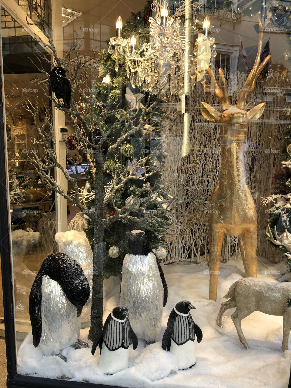 I love this second shop window display, because penguins are featured and again this presentation brings the festive cheer that we need.