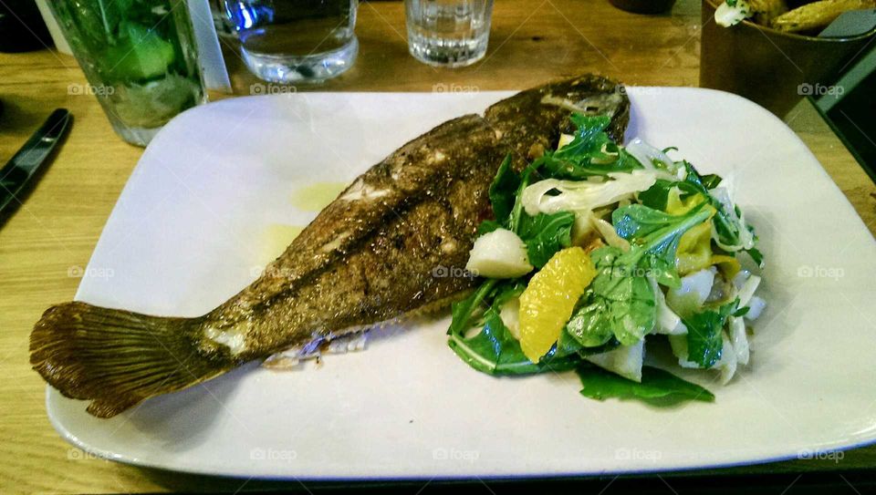 Fish & Salad