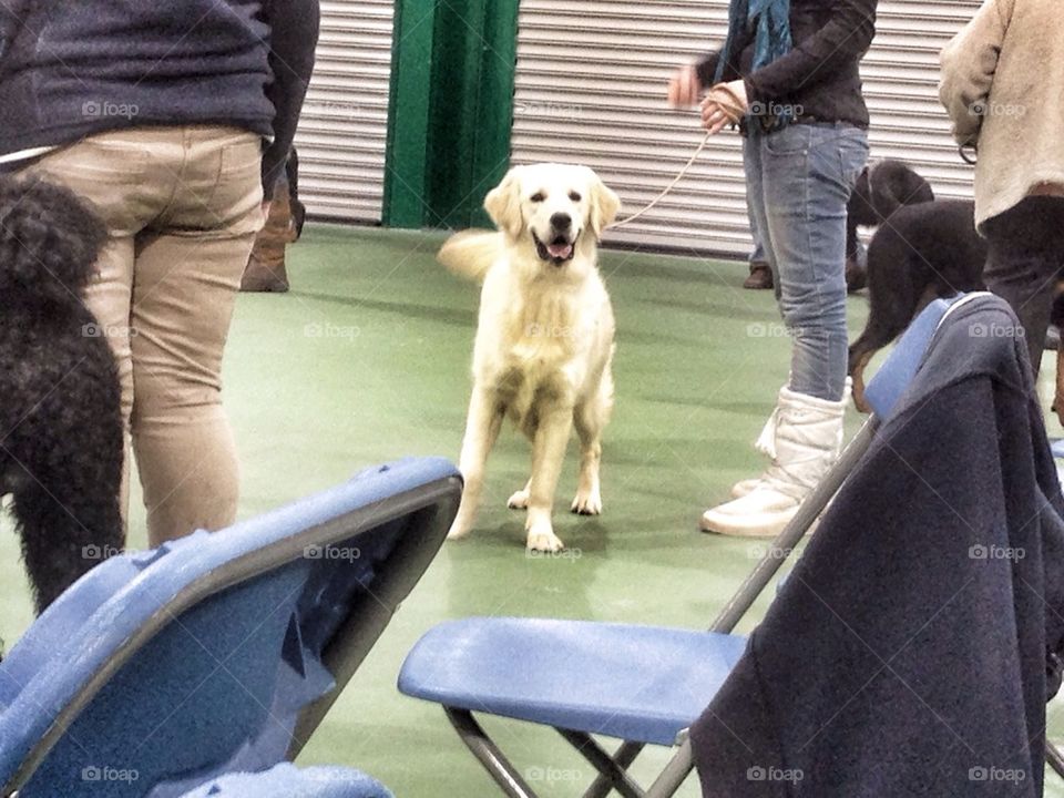 Zoe at Ringcraft Class