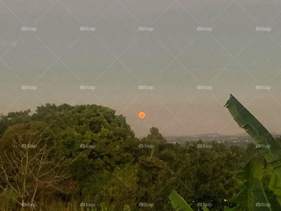 🌄🇺🇸 An extremely beautiful dawn in Jundiaí, interior of Brazil. Cheer the nature! / 🇧🇷 Um amanhecer extremamente bonito em Jundiaí, interior do Brasil. Viva a natureza! 