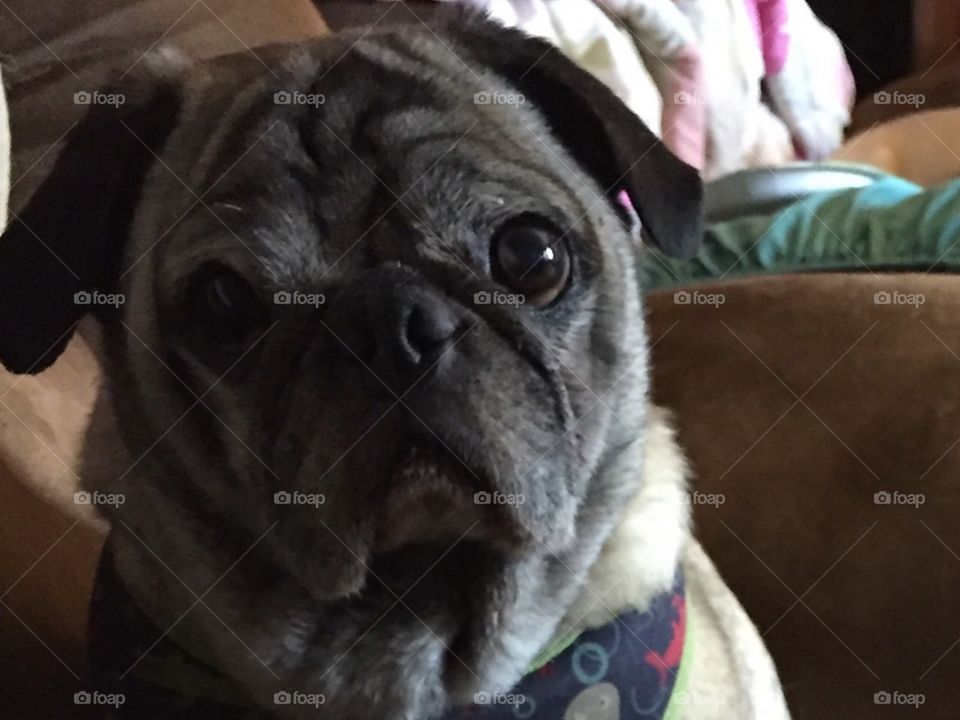 What do you have to share?