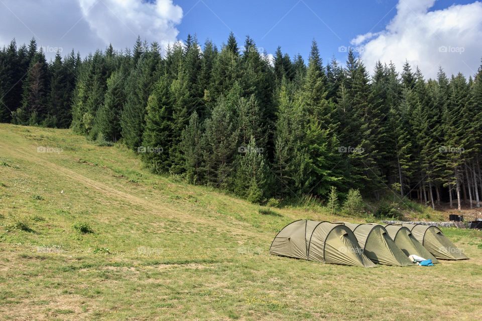 Green tents on a meadow in the mountain