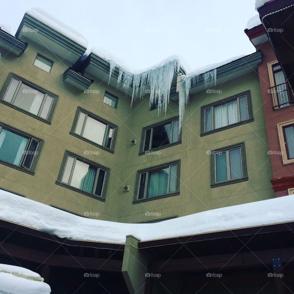 Huge icicles! 