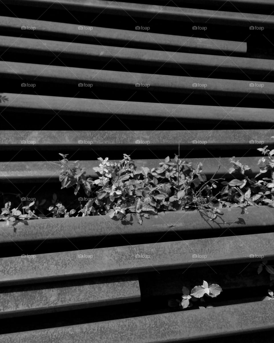 background texture/real texture/black and white texture/texture for you