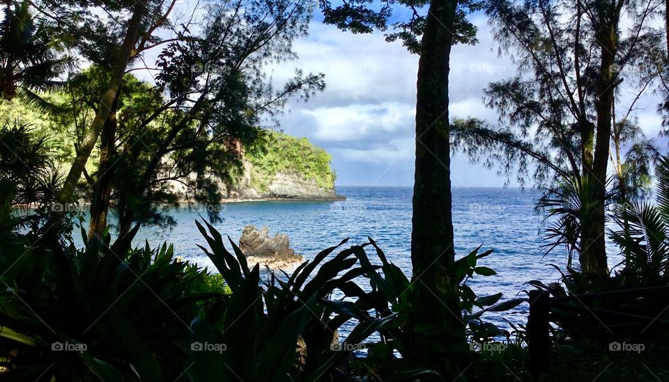 Ocean view at Hawaii Tropical Botanical Garden