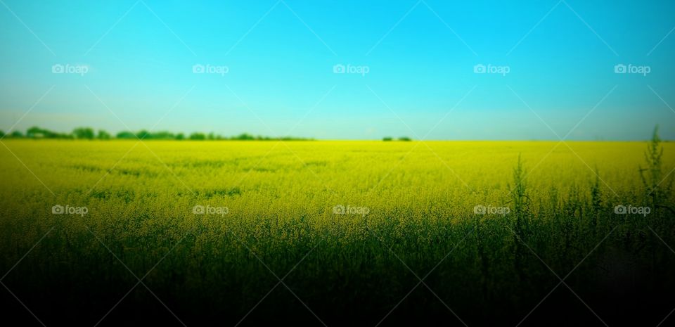 As far as the eye can see 