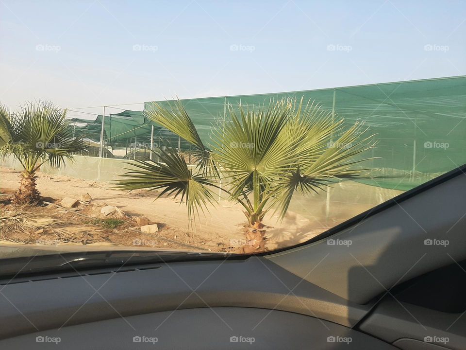 Please make me happy, I am poor, I need your help with support