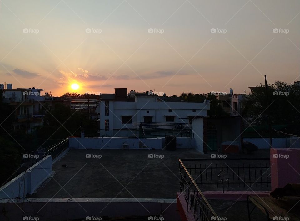 Golden glory of the setting sun