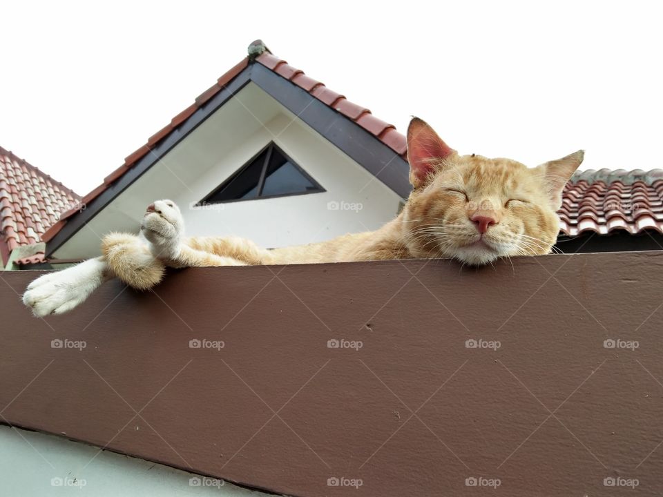 What makes you smile