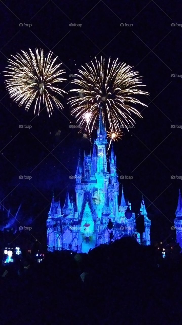 DisneyWorld magic