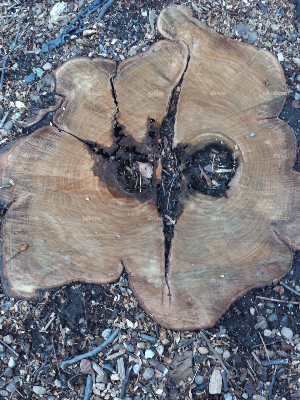 Wood Stump Patterns