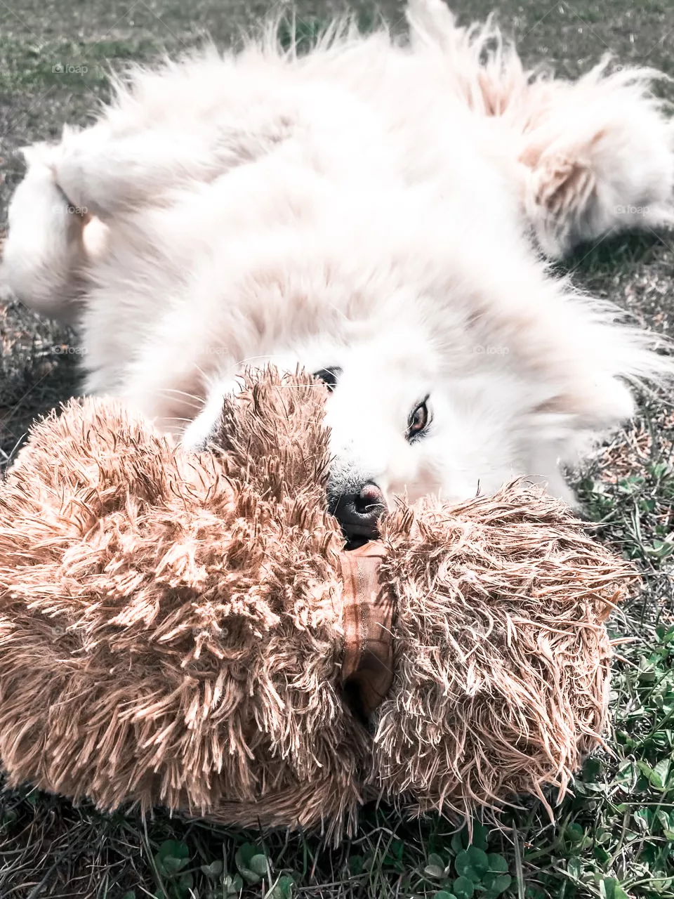 Fluff 