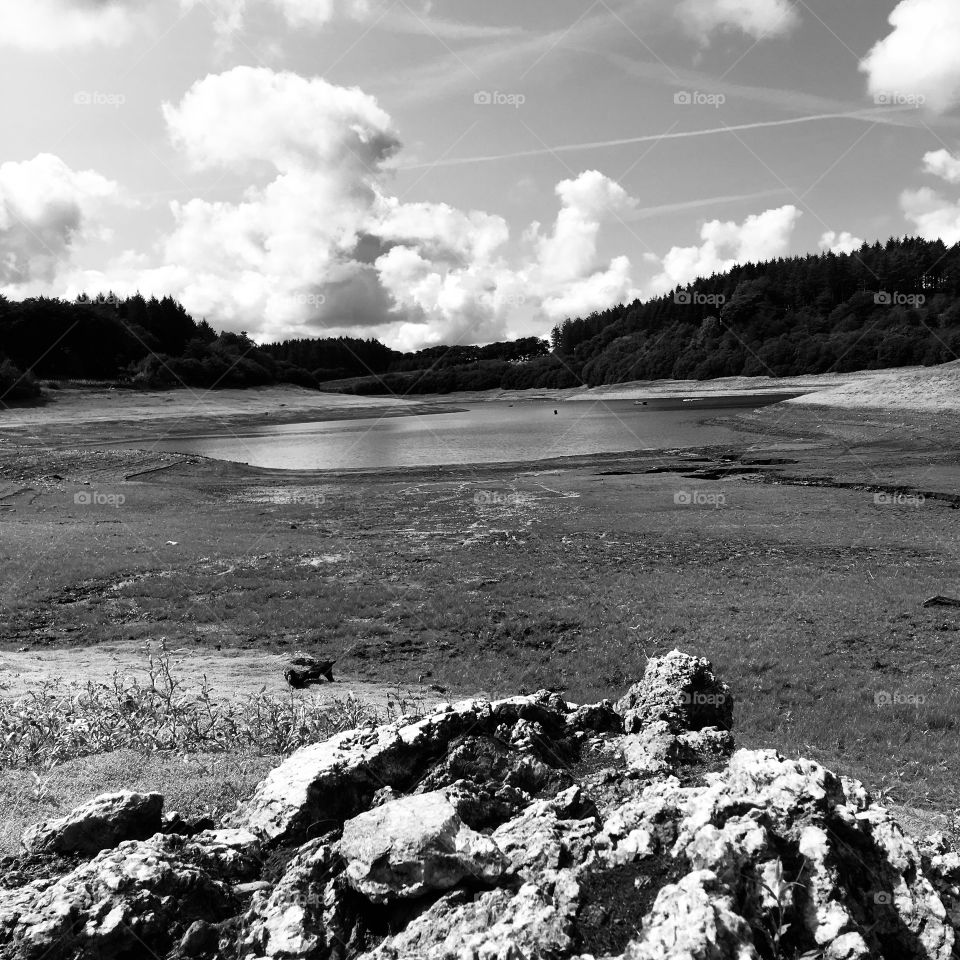 Whistland pound reservoir, Exmoor, North Devon. England. Low perspective on a summer day. In black and white 