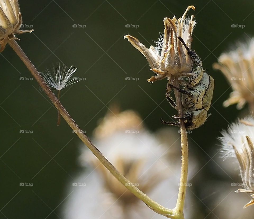 Haciendo el pino
Doing the pin