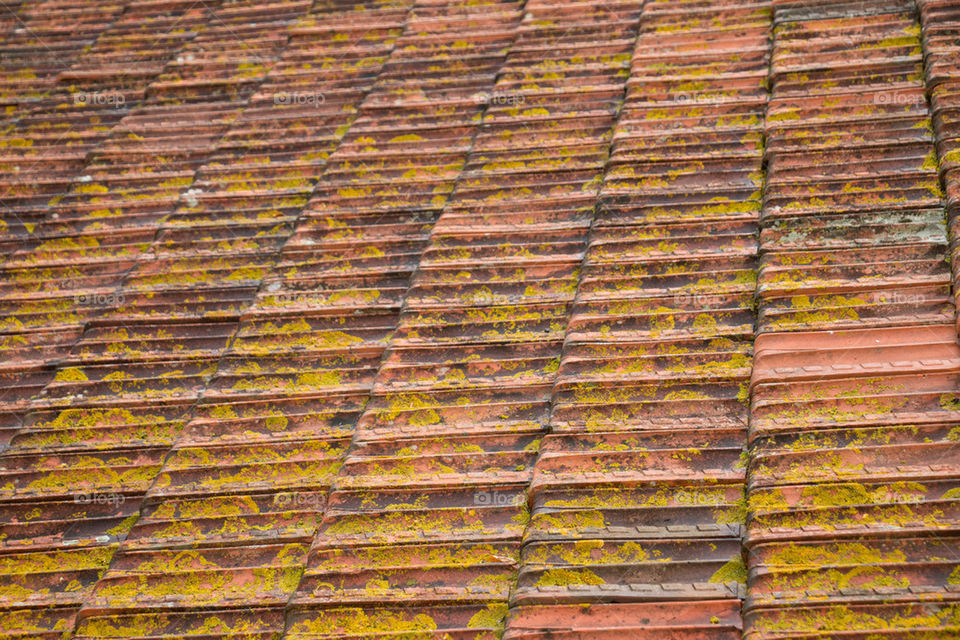 Portuguese rooftops 