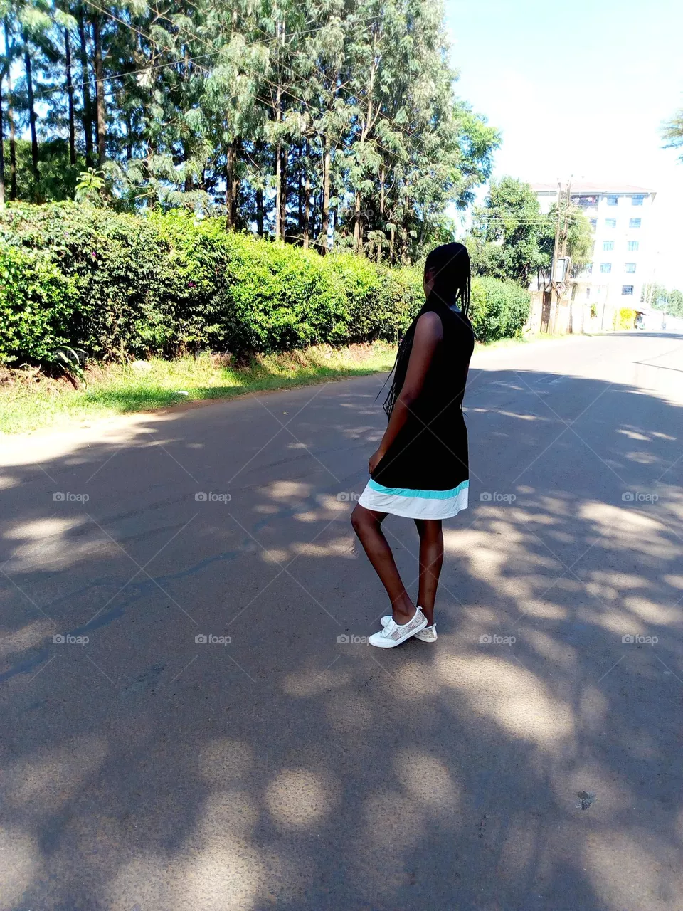 shade