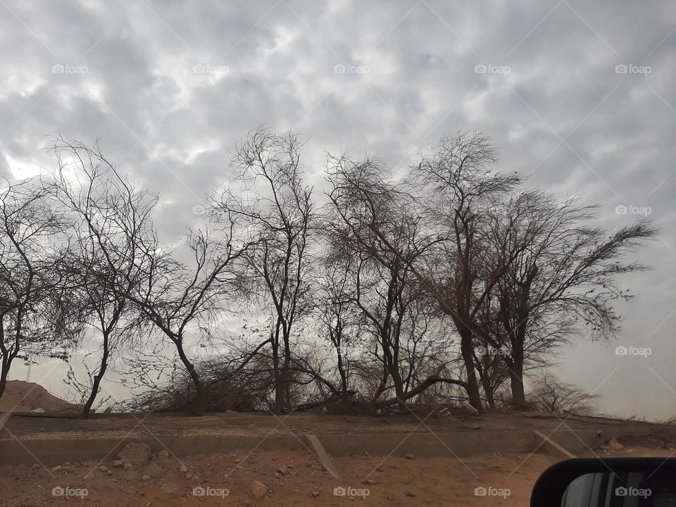 Please make me happy, I am poor, I need your help with support