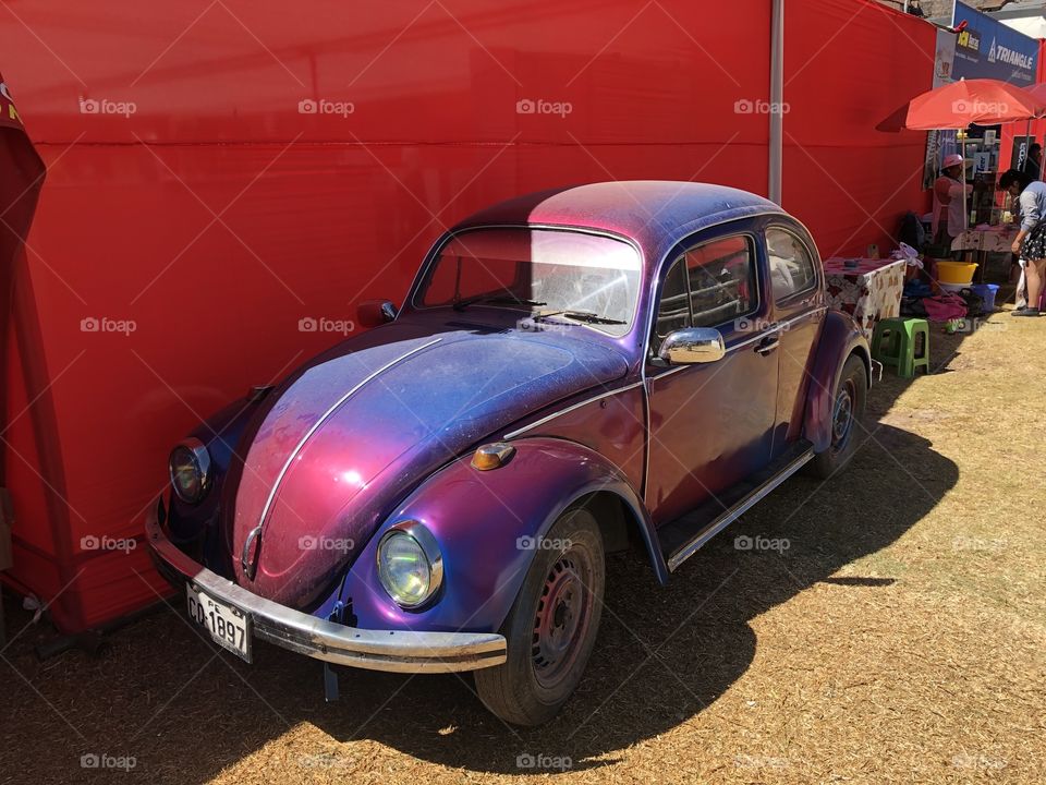 Volskwagen beetle