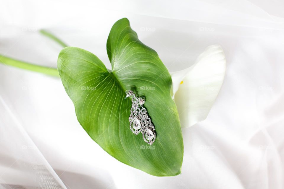 Earrings on a calla lily