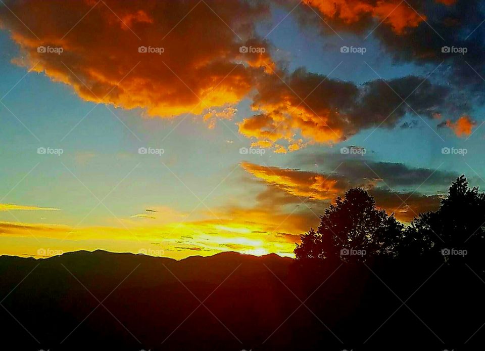 Conifer Colorado Sunset #7
