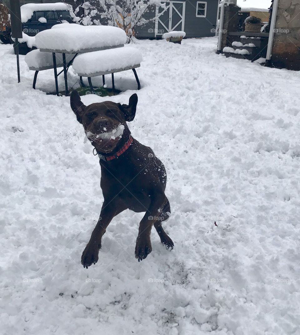 Catching snowballs 