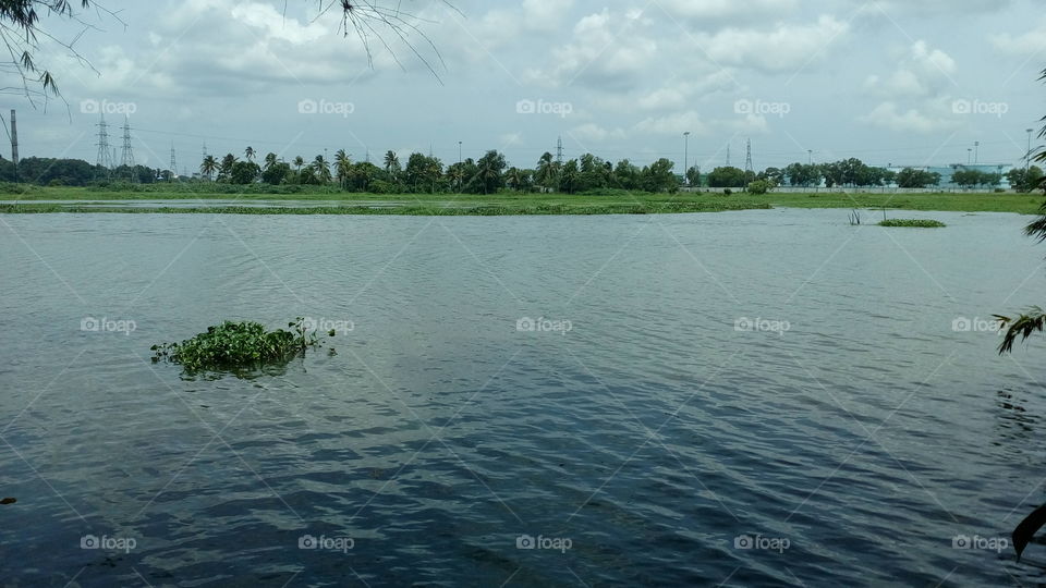 Beautiful Lake in Kerala