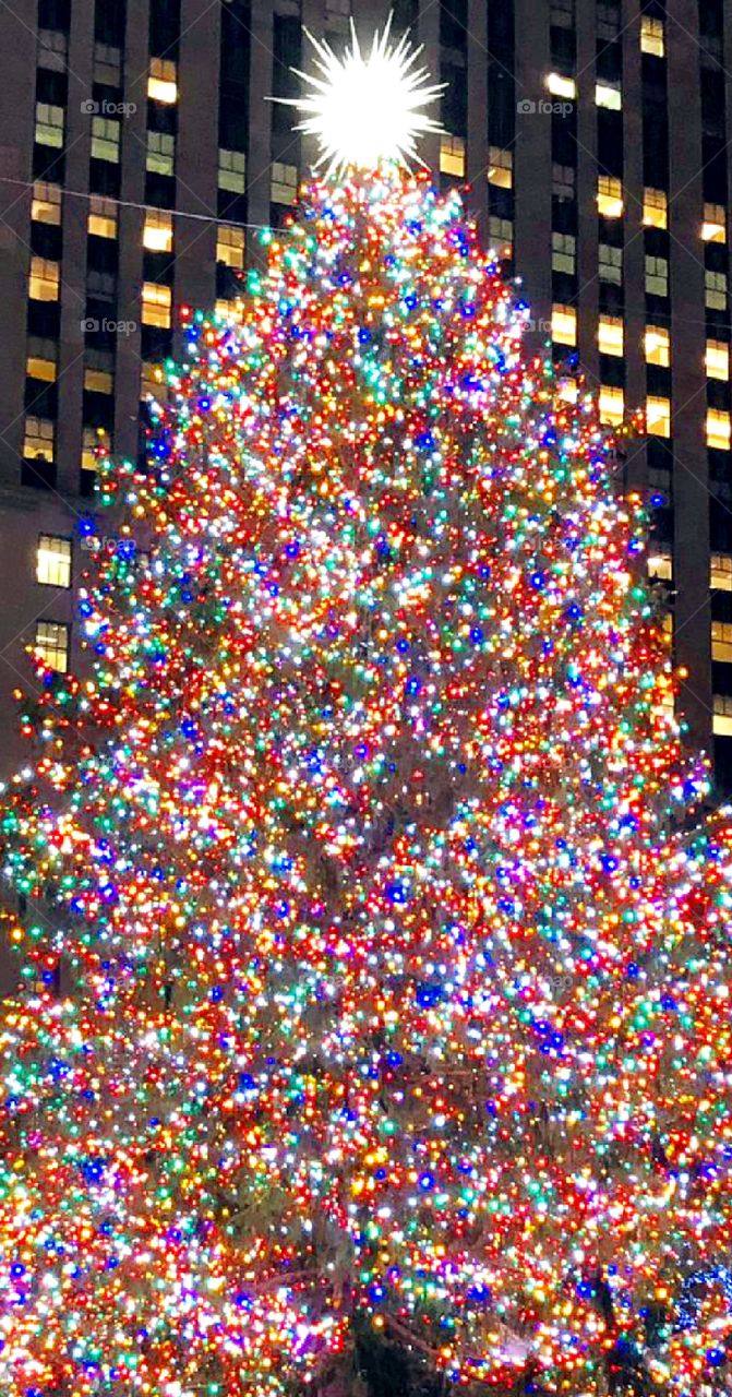 Christmas Tree in New York