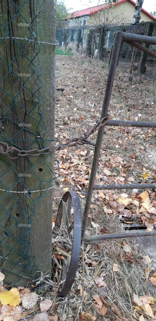 rusty fence