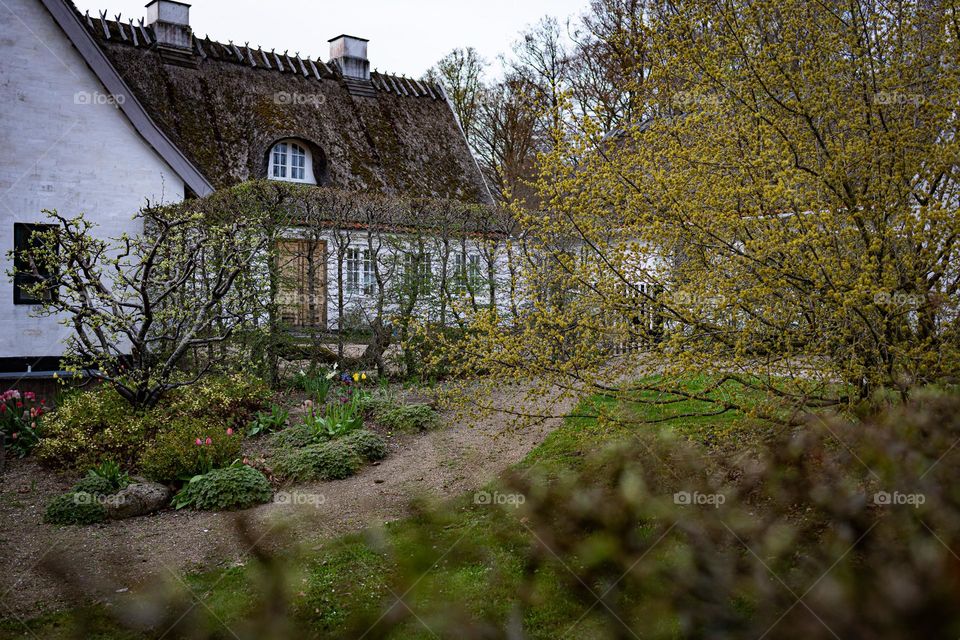 old house and the garden