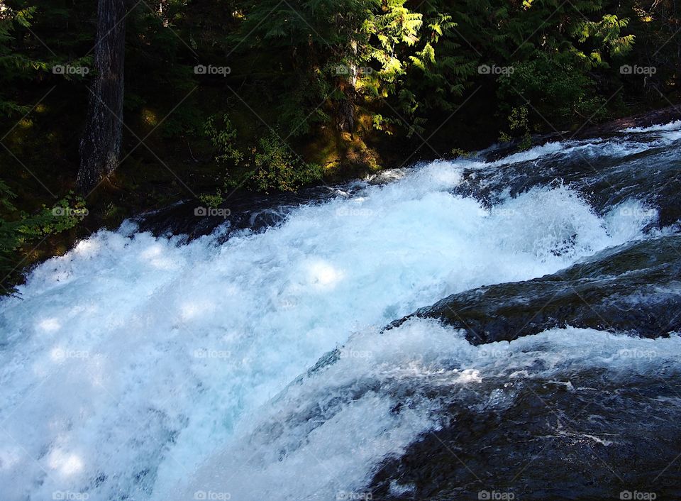 Sun rays penetrate the thick trees of the forests around Western Oregon’s McKenzie River and beautifully illuminate the water and surrounding trees on the banks of the river on a fall day. 