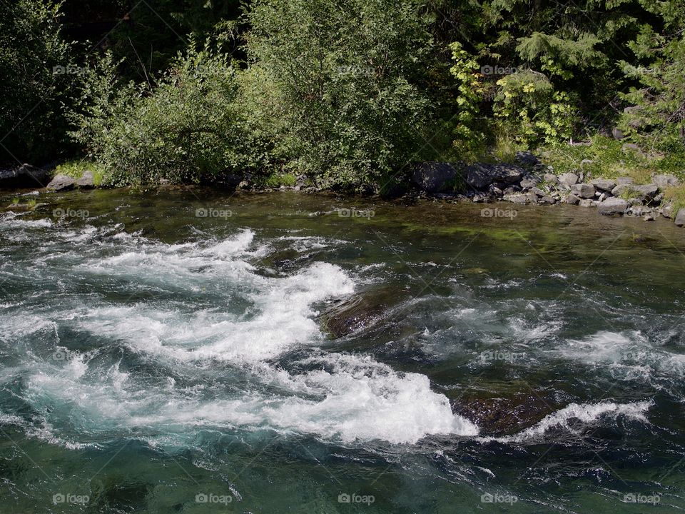 The beautiful waters of the McKenzie River rush along its lush green banks in the Willamette National Forest in Western Oregon on a sunny summer day. 