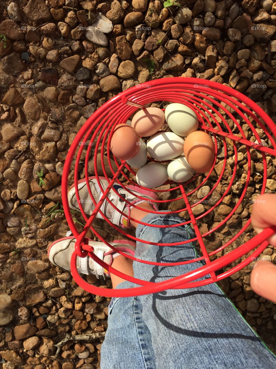 Eggs in a Red Basket