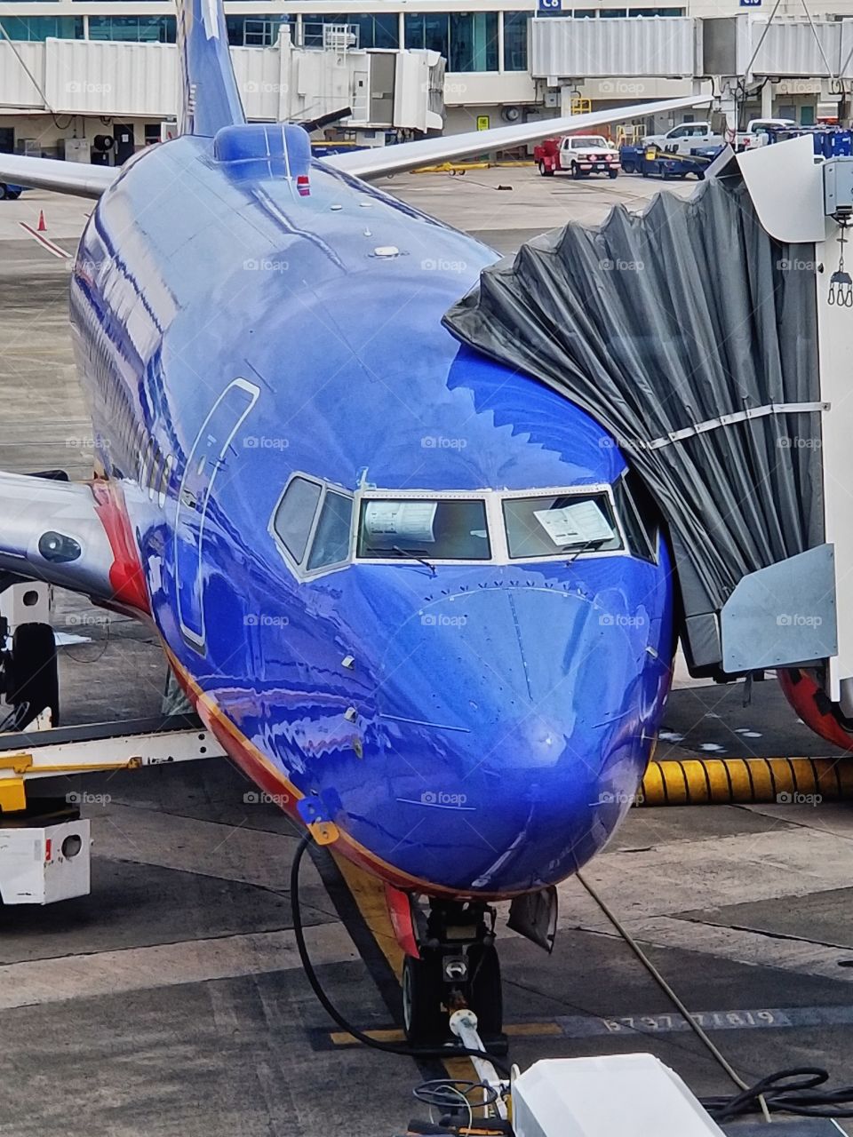 As I was walking past the pilot was placing paper in each of the planes cockpit window😯