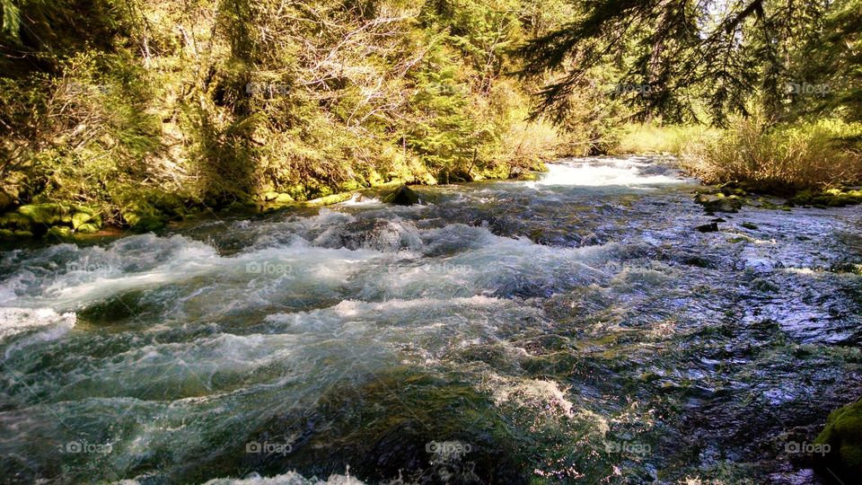 McKenzie river