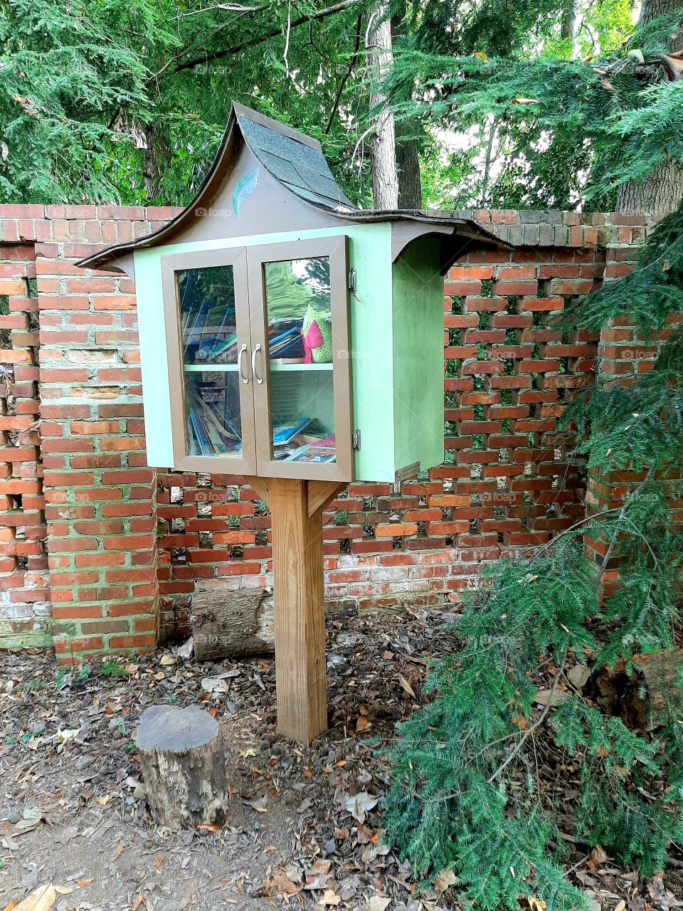 Little free library