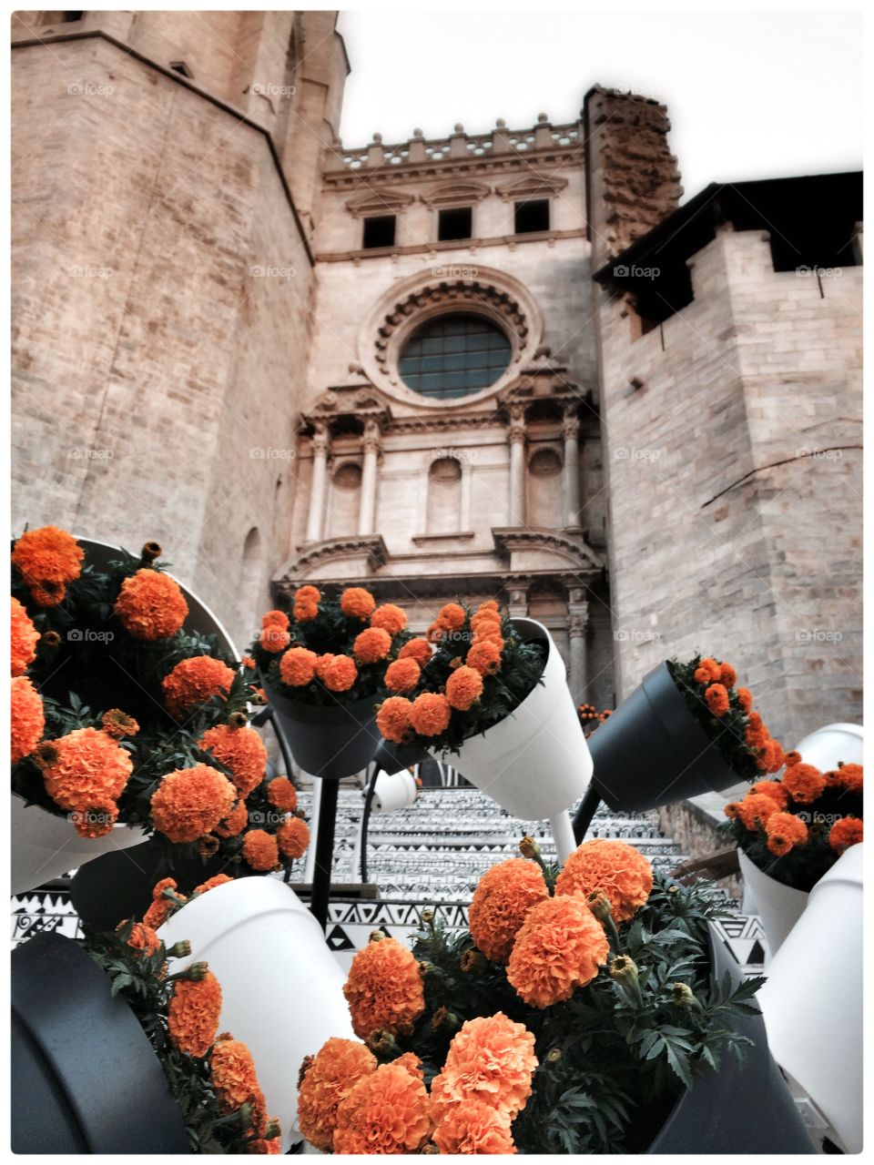 Girona Flower