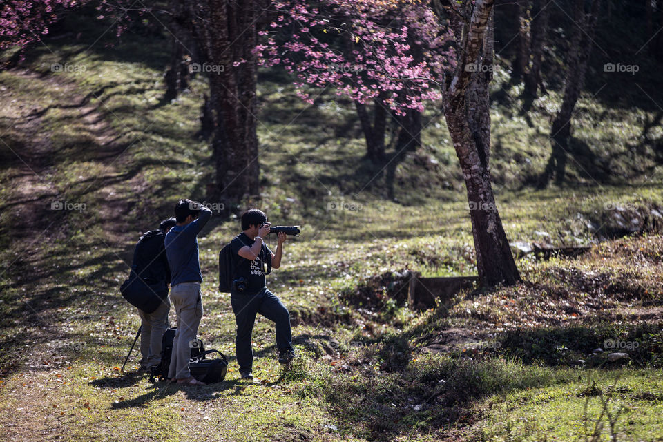 Tourist photographer in the forest 