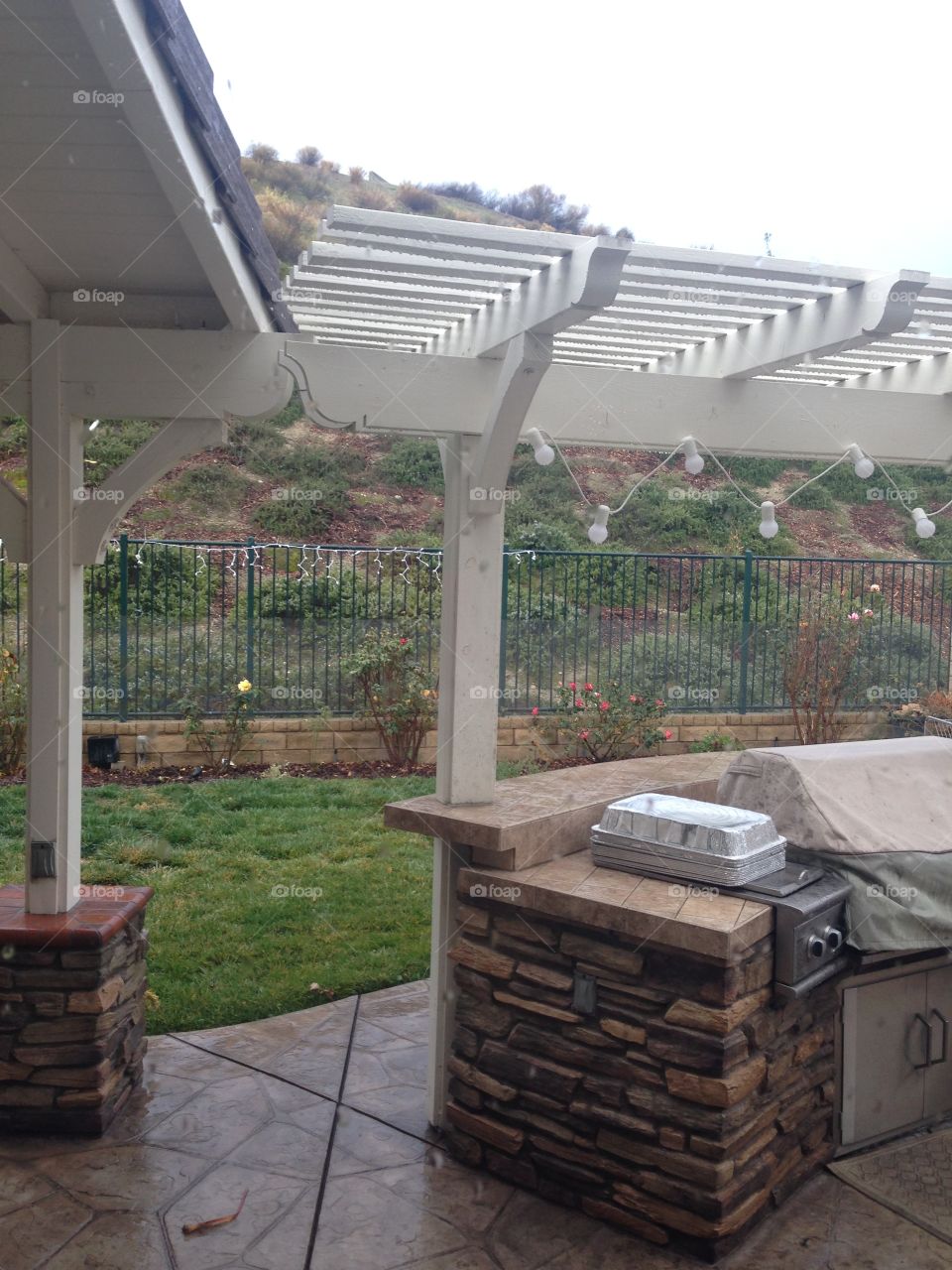 Backyard View 

Published by:
HappyBrownMonkey 