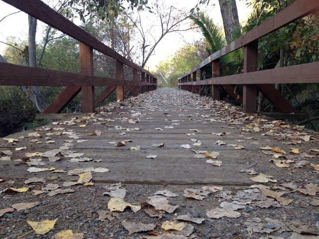Pathway 