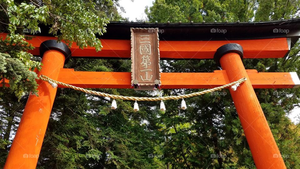 Torii Gates