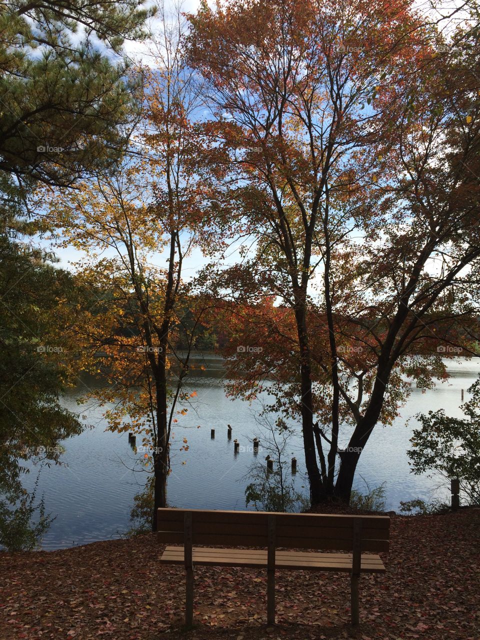 Lake with fall trees
