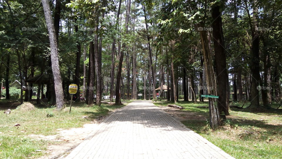 Punti Kayu Park