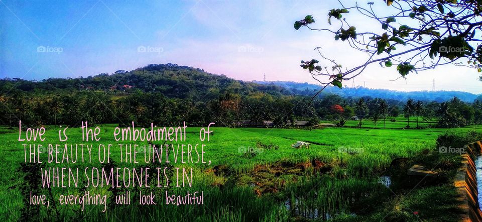 Love is the embodiment of the beauty of the universe, when someone is in love, everything will look beautiful