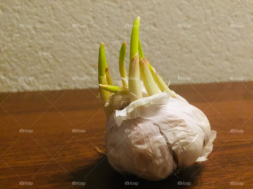 Garlic - spring in the kitchen 